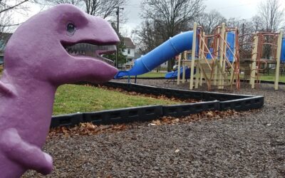 New playground equipment is coming to Blommel Park! 